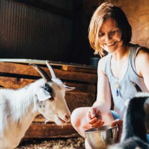 A guest feeding a goat