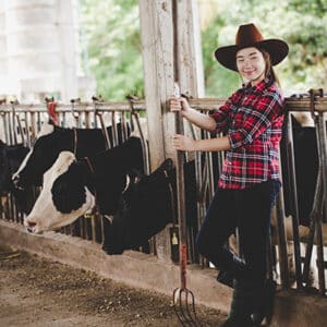 Farm worker handling the cows