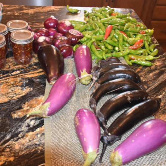 prepared vegetables for the open fire cooking class.